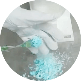 液体窒素でフシギ体験!