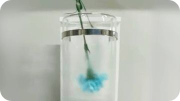 液体窒素を使ったサイエンスショー